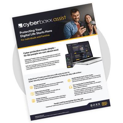 BOXX Image - Collateral Cyberboxx Assist for Home Product Overview 20250512